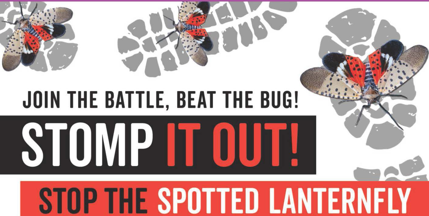 Photo 3. Example of the SLF &ldquo;Stomp it out!&rdquo; campaign in New Jersey. I New Jersey Department of Agriculture